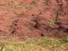 Soweto-20120604-00392